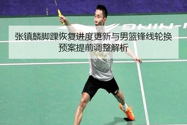 zhang-zhen-lin-jiao-huai-hui-fu-jin-du-geng-xin-yu-nan-lan-feng-xian-lun-huan-yu-an-ti-qian-tiao-zheng-jie-xi-2-818.jpg